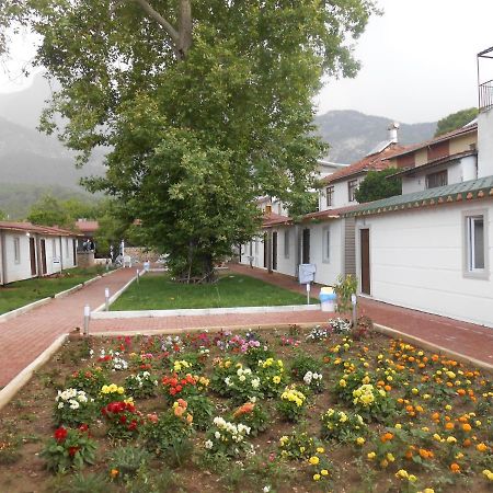 Ipsos Hotel Beldibi Kemer Exterior photo