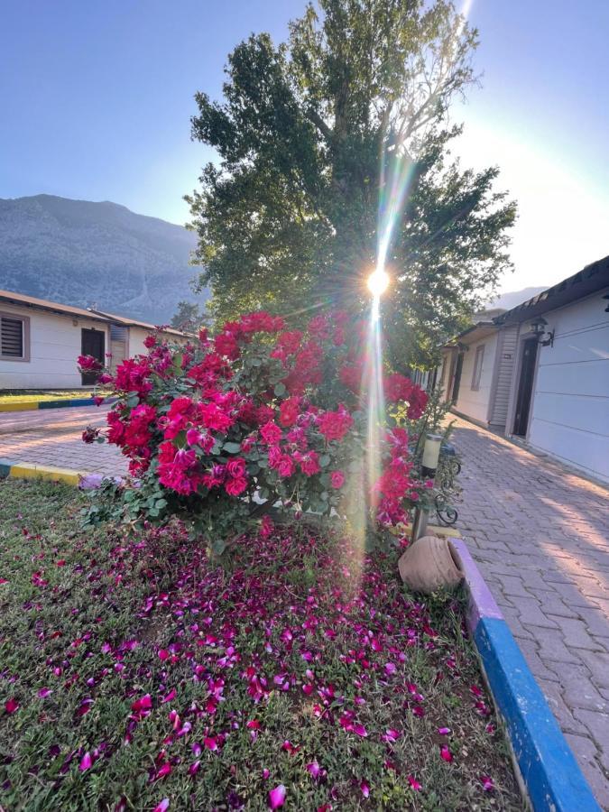 Ipsos Hotel Beldibi Kemer Exterior photo